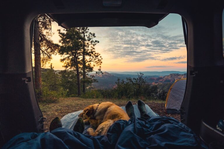 Discover Affordable and Durable Car Camping Supplies Today