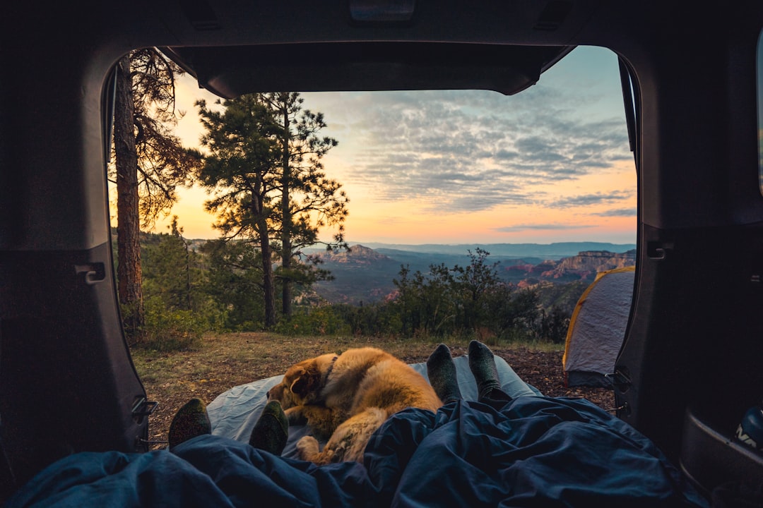 Discover Affordable and Durable Car Camping Supplies Today