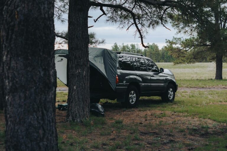 5 Must-Have Gadgets for Your Car Camping Experience