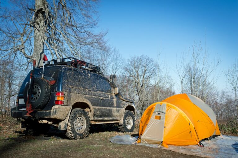 Tips for Setting Up the Perfect Car Camping Site